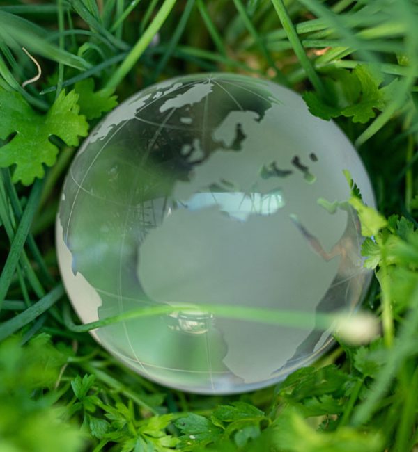 economia_circolare_terra